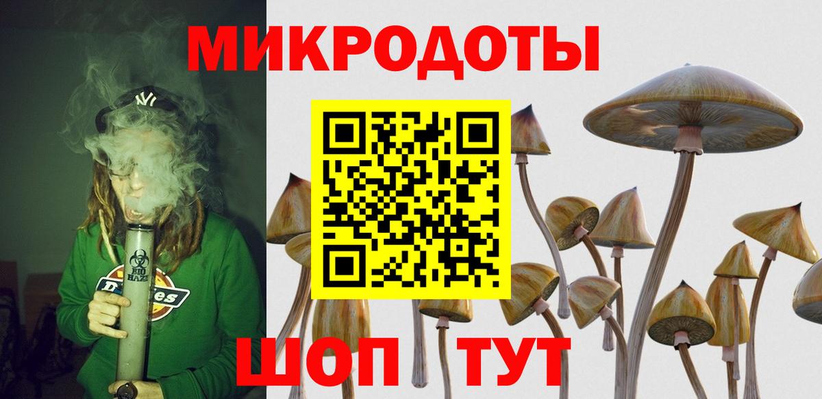 Псилоцибиновые грибы MAGIC MUSHROOMS  Псилоцибиновые грибы Psilocybe  Вход с VPN  Красный Сулин 